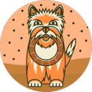 nancy bausch Avatar