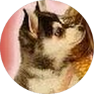 Shanon Harvey Avatar
